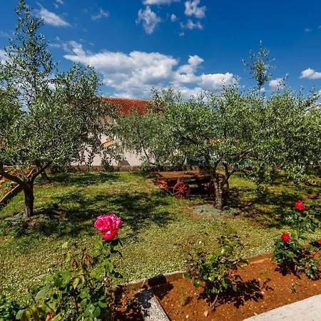 Apartman Fuer 2 Personen Ca 26 Qm In Njivice, Kvarner Bucht Krk Njivice